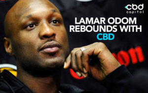 Lamar Odom Rebounds With CBD